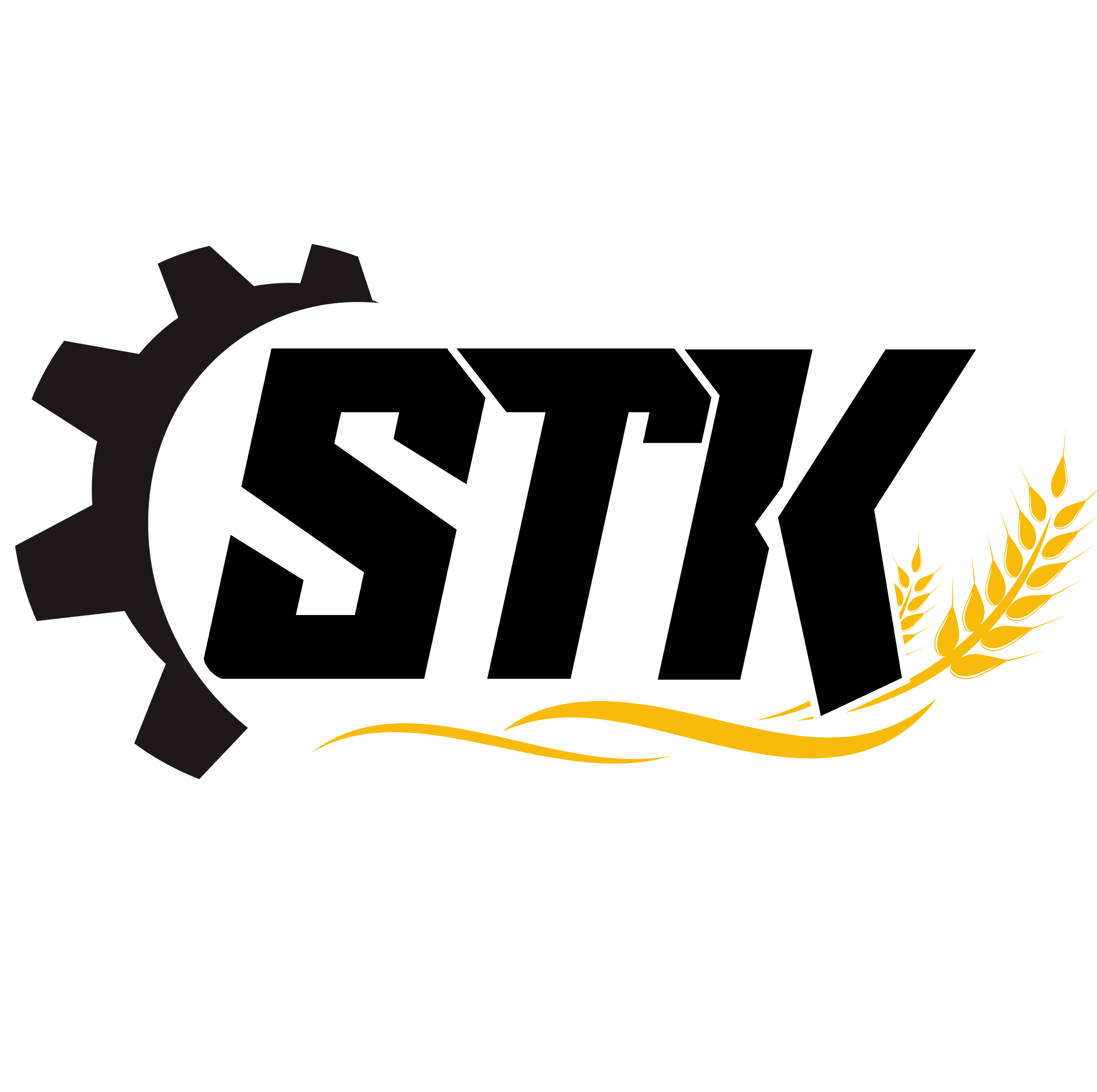 Website Logo